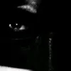 ymarmfxlpp1