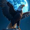 user5135704113493
