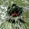 ramidabdul