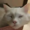 neekruto