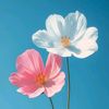 naveednaveedbhayo8