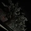 gtkk.mirii
