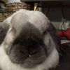zander_019