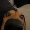 __frankie__a__