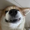 autizm21cm