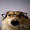 cuenta.para_vertiktok