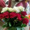 nann.saw41