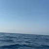 usernaymhz