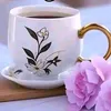 linalina213213