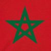 hamza_ms5
