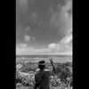 m.krisna754