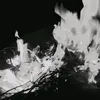 .s__.m1
