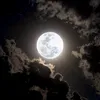 ersy_sk