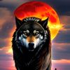 lobo76390