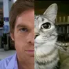 dexter.morgan290