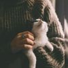 shaima.mortada3