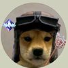 fortnite.account009