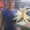 ivanli.de.souza.s