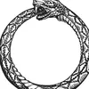 kaz838017