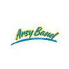 ARSY BAND