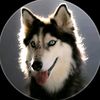 _1lonewolf_