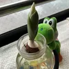 miokidju9dd