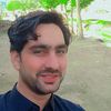 shaheen.afsar804
