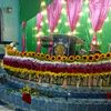 rolan.pop7