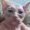 holifuk888
