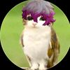 meowl0.3