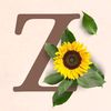 zin76881