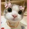 kylinchocolate1
