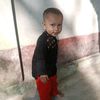 md.shelim233