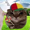 fufundick