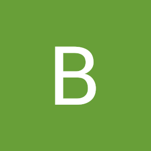 balnur2336