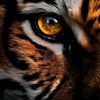 whitetiger783