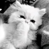 khanh._.lyy09