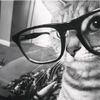chilllmahira
