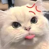 nhiyn881