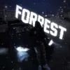forrest_prod