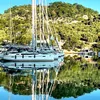 ali.belal63