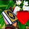 sultanarabaa6