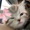 cillaaaaaa_04