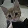 dont_look_at_me27
