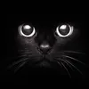 darkshadow66666