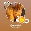 kaddel511