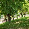 halime.akka