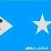 birtanool469
