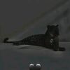 fatme.mograbi