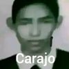 carajo6202